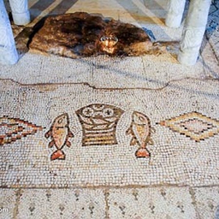 Tabgha-mosaic-of-fish-and-loaves-tb110106544-bibleplaces (1)